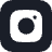 ins